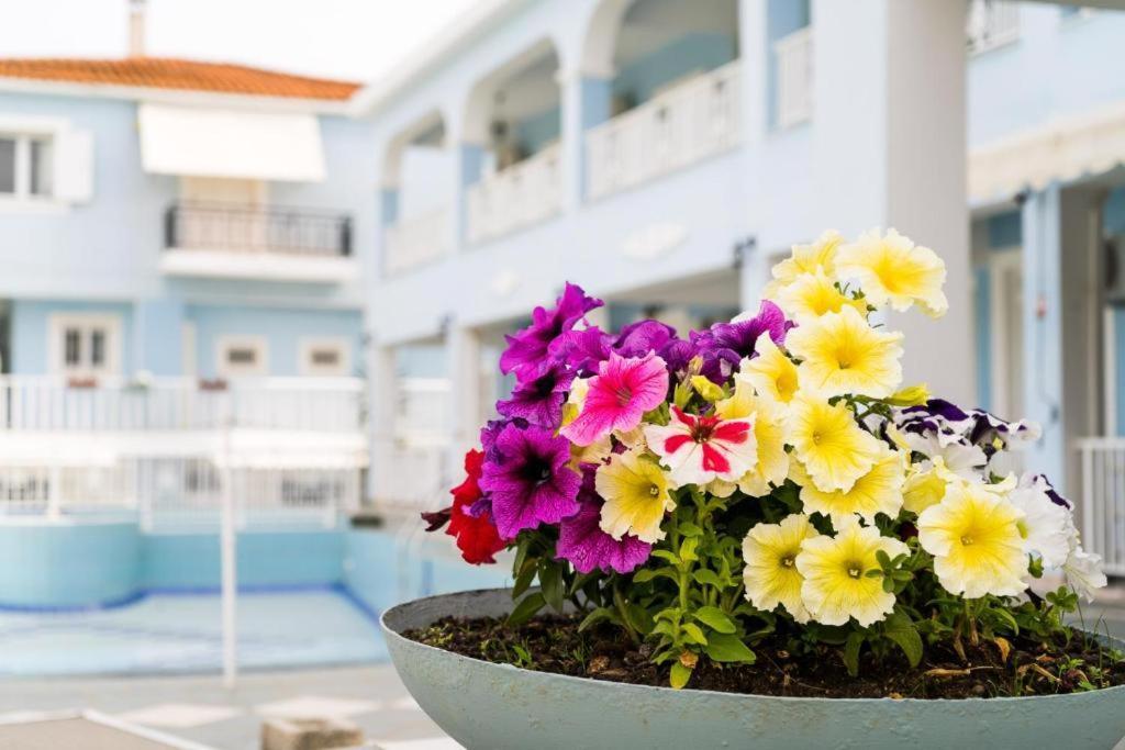 Anna'S Studios & Apartments Zakynthos Town Exterior photo
