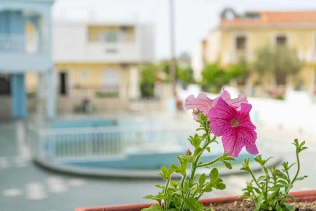 Anna'S Studios & Apartments Zakynthos Town Exterior photo